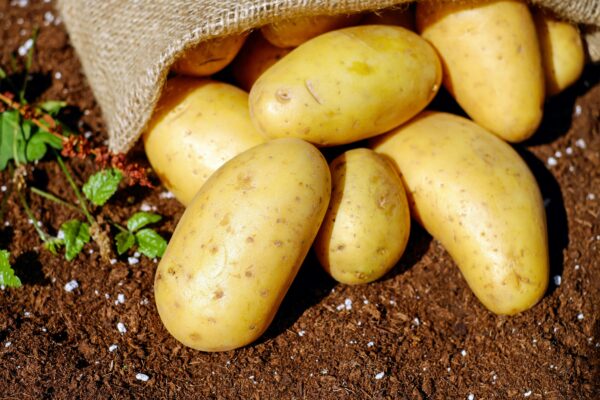 POTATOES